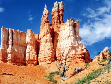 PAYSAGE
